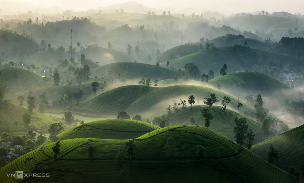 Noi Bai Airport (Or Hotel in Hanoi) - Long Coc Tea Hill - Ta Xua - Son La - Dien Bien Phu - Hanoi