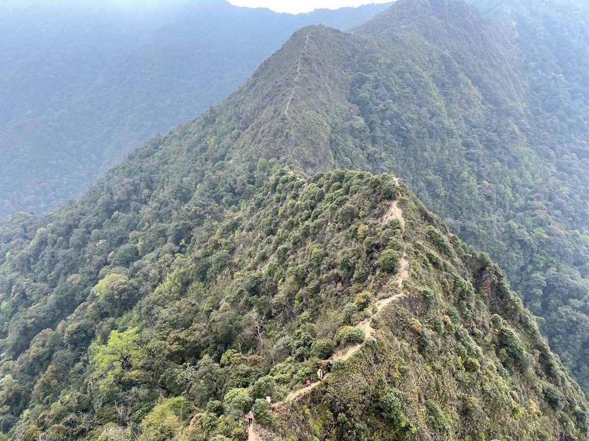 The spine of the Ta Xua dinosaur