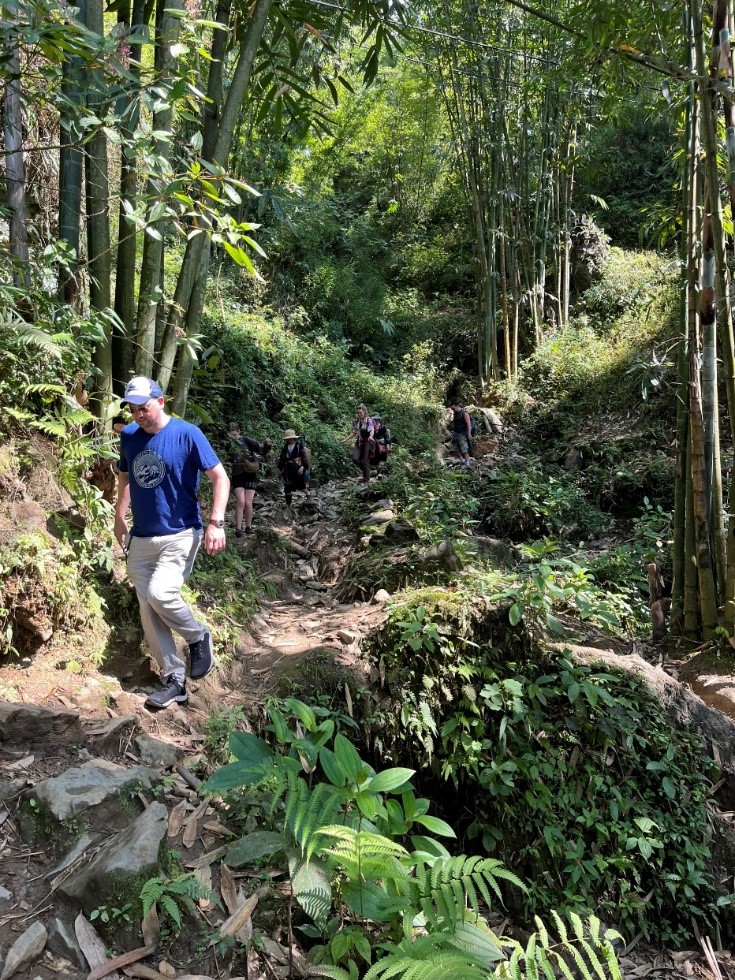 Trekking through bamboo forest